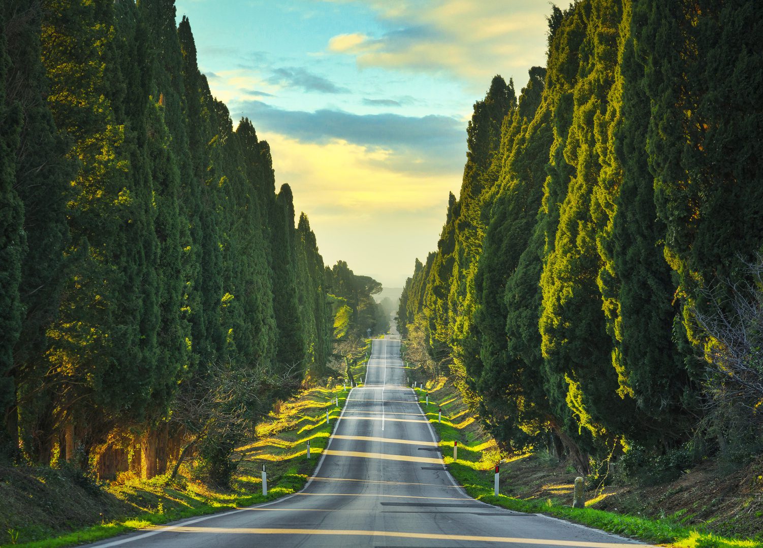 Bolgheri, Toscana